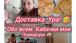 Доставка ура! 🥳 Обо всем. Кабачки мои. Помидоры🙈