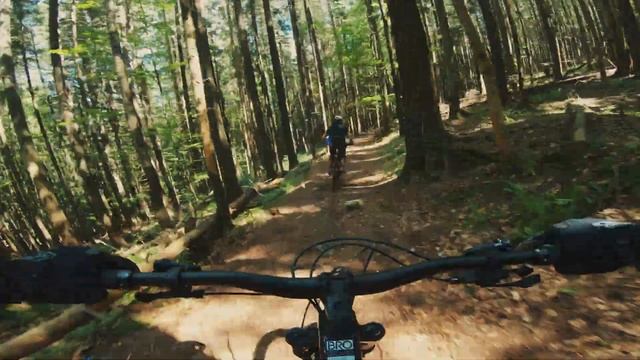 Гора синяк. Спуск через г. Хом'як в урочище Женець. Горгани смотреть онлайн