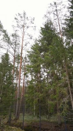 Дом для души. Проект ДК-68 #каркасныйдом