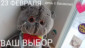 день с Басиком 23 февраля 💗🎄