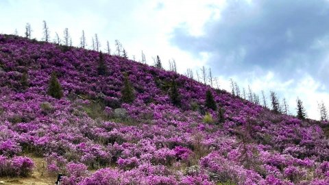 Предательство💔💔💔