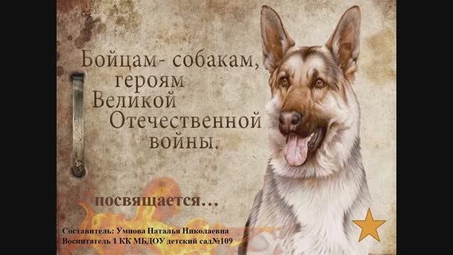 Детям о ВОВ. Собаки на войне.