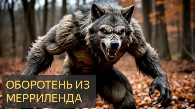 Оборотень из Мерриленда (Мистическая история)