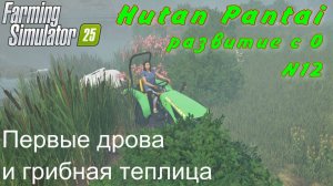 Farming Simulator 25. Hutan Pantai. Развитие с 0. 12 часть. Первые дрова и грибная теплица.