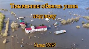 Паводок 2025 Тюменьская область река Ишим