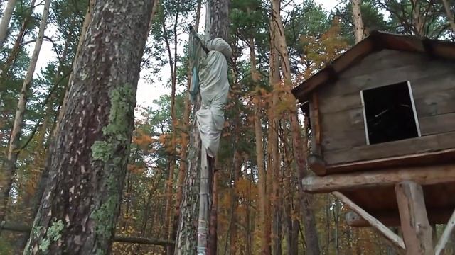 Музей - заповедник. Часть 2 смотреть онлайн