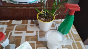 🆘🆘🆘 Борьба с вредителем 🕷️🕷️🕷️