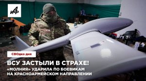 ВСУ застыли в страхе! «Молния» ударила по боевикам на Красноармейском направлении