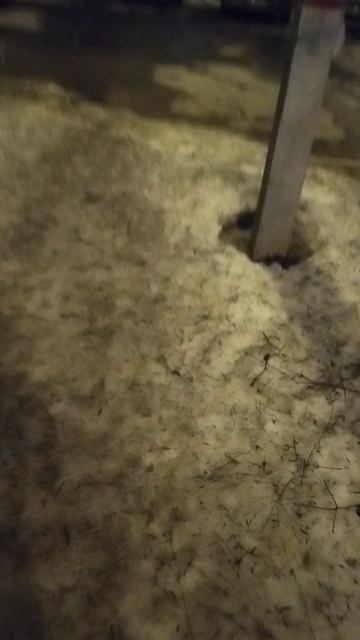 15 марта 2025 г., 21:30:53
Двор П. Осипенко 48
VID_20250315_213006390