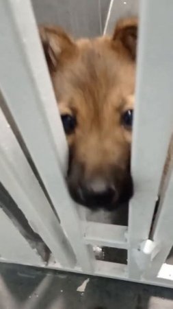 Маня, Манечка, Манюня 🐶
