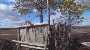 Проведали избу перед охотой. Завезли провизию и не только