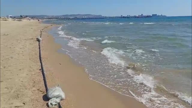 Очередная обработка сада. Борьба с медведкой в огороде. Море, как всегда прекрасно!