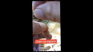 Рыбалка. Узел на карася