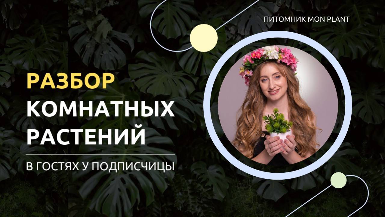 Разбор комнатных растений - в гостях у Светланы. Питомник комнатных растений Мон Плант