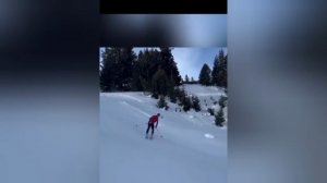 Смешные видео 🤣