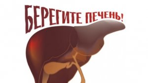 Какие продукты ВРЕДЯТ ПЕЧЕНИ?