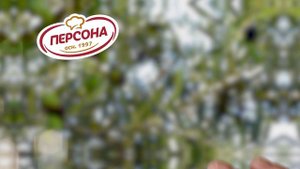 Майонез Персона оливковый