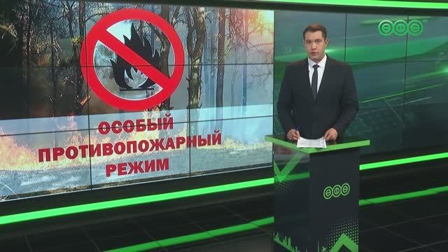 Как жарить шашлык, чтобы не нарваться на штрафы