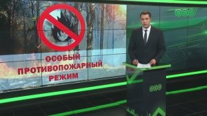 Как жарить шашлык, чтобы не нарваться на штрафы