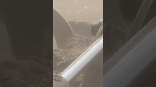 Дали - работаю. Механизатор про весенне-полевые работы