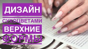 Наращивание на верхние формы. Дизайн с сухоцветами
