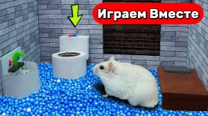 Приключения Умного Хомяка 🐹 побег из крутой тюрьмы с ловушками 🐹 Видео для детей