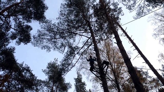 Лесной тренинг. Планка. смотреть онлайн