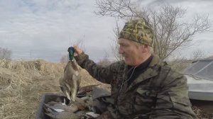 Весенняя охота на уток с чучелами в Сибири. Часть 2. Сезон 2025 года.