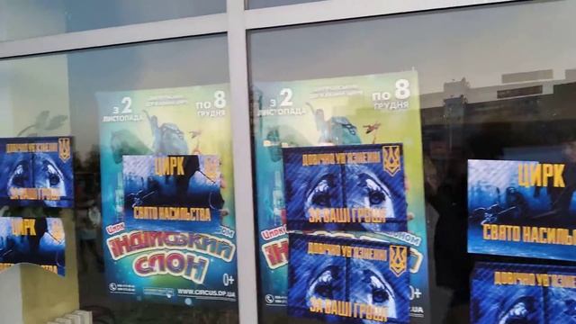 Фасад цирка после акции зоозащитников смотреть онлайн