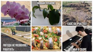 Хаос на участке! Новый эухарис/Семья в сборе/Сын играет на синтезаторе/Погода - жесть/ВЛОГ ЗА НЕДЕЛЮ