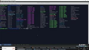 Linux Часть 1 Видео 11 Файловые шаблоны часть 5