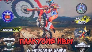 Плакучие ивы Николина Балка