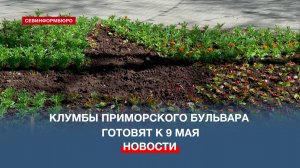Ко Дню Победы клумбы на Приморском украсят звёзды из бархатцев и бегоний