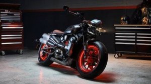 DOOM: The Dark Ages x Harley-Davidson Sportster S