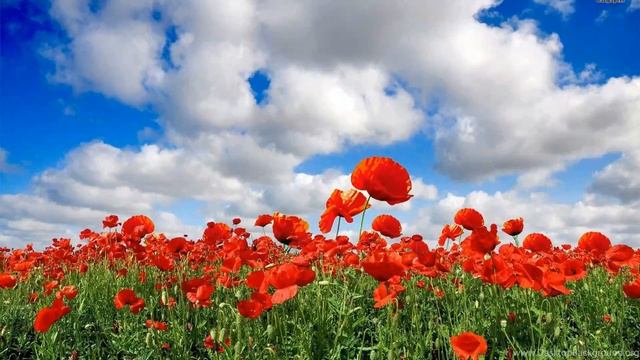 Jacques Loussier Air on the G String_1080p смотреть онлайн