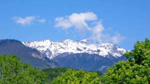 Трансперсональный ретрит. Холмогорье . Абхазия. Весна