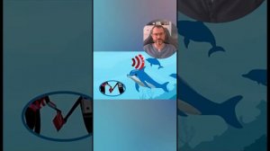 ИИ учитcя понимать дельфинов