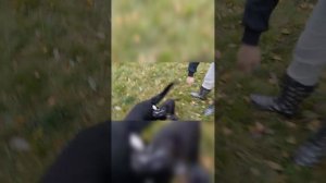 стафф знакомится со старшим братом