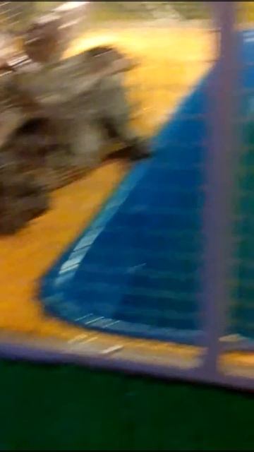 Крокодилы людоеды в Липецкой крокодиловой ферме смотреть онлайн