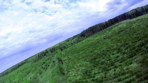 Выход в поле после зимы квады рулят.