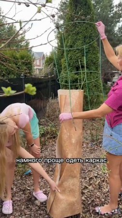 В Подмосковье потеплело — пора поднимать розы