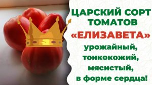Елизавета, вкусно и красиво! Этот сорт томатов покорит ваши сердца!