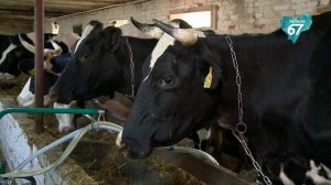 Смоляне могут получить грант «Агростартап»