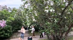 Украина 4 мая! СТРАШНО! ВЗРЫВЫ!ПОСТРАДАВШИЕ! Что сегодня в Киеве?