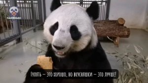 Пока Катюша наслаждается свободой, Динечка наслаждается угощениями! 🍞🍏❤️