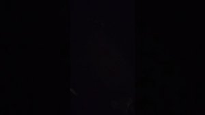 15 марта 2025 г, 21:26:50
Двор Г. Звезда 73 - Красноармейская 52 - мусор
VID_20250315_212436566