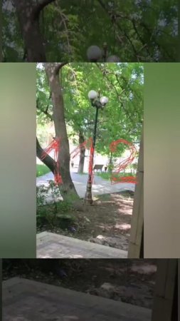 Троих сотрудников ГИБДД расстреляли в Махачкале, — СМИ