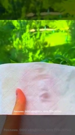 🌱Автополив комнатных растений