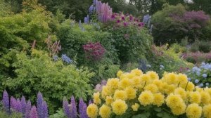 Какие растения выбрать для дачи, чтобы цвели все лето - Цветы