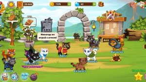 играю в гильдию котов